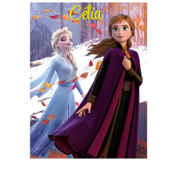 PLAID REINE DES NEIGES 250