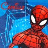 SERVIETTE TABLE SPIDERMAN 451