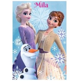 PLAID 2 REINE DES NEIGES 536