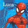 SERVIETTE TABLE SPIDERMAN 451