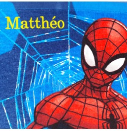 SERVIETTE TABLE SPIDERMAN 451