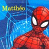 SERVIETTE TABLE SPIDERMAN 451