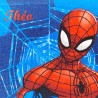 SERVIETTE TABLE SPIDERMAN 451