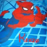 COUSSIN SPIDERMAN 463