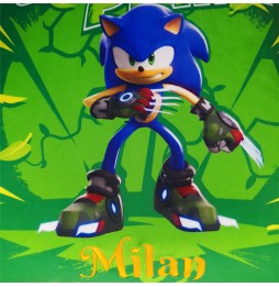 COUSSIN SONIC 2- 539