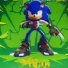 COUSSIN SONIC 2- 539