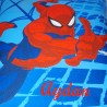 COUSSIN SPIDERMAN 463