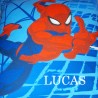 COUSSIN SPIDERMAN 463