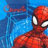 SERVIETTE TABLE SPIDERMAN 451