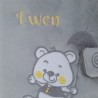 PROTEGE CARNET SANTE GRIS OURSON 172