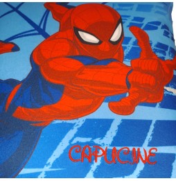 COUSSIN SPIDERMAN 463