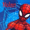 SERVIETTE TABLE SPIDERMAN 451