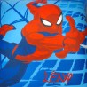 COUSSIN SPIDERMAN 463