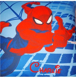 COUSSIN SPIDERMAN 463