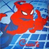 COUSSIN SPIDERMAN 463