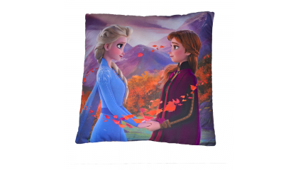 COUSSINS DISNEY ET MIRACULOUS